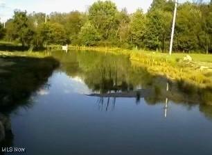 view of water feature