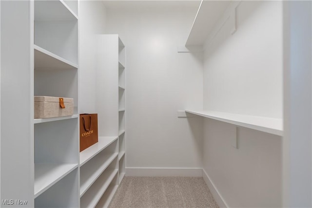 walk in closet with light colored carpet