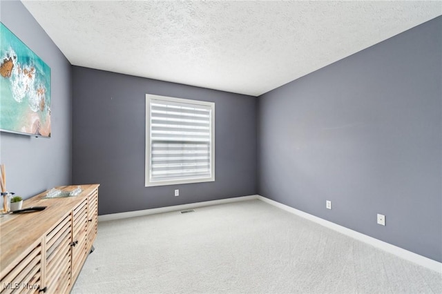 empty room featuring light colored carpet and a textured ceiling