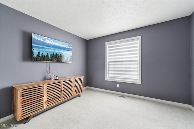 interior space with a textured ceiling and carpet floors