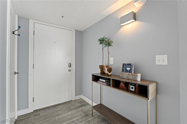 foyer entrance featuring hardwood / wood-style flooring