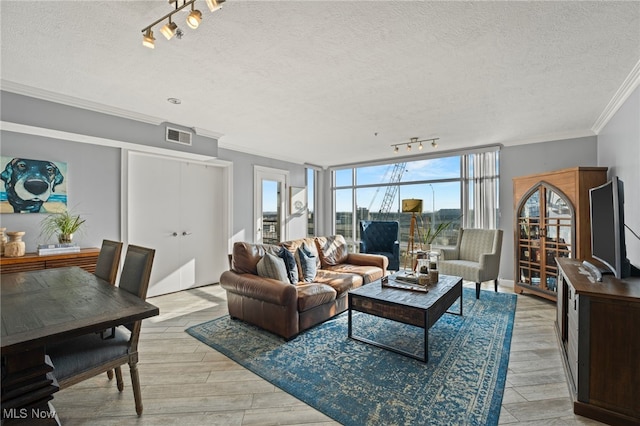 living room featuring a textured ceiling, track lighting, and ornamental molding