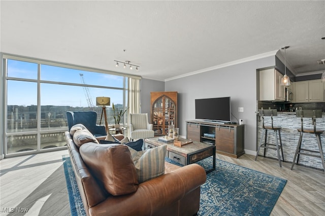 living room with track lighting, crown molding, and light hardwood / wood-style flooring