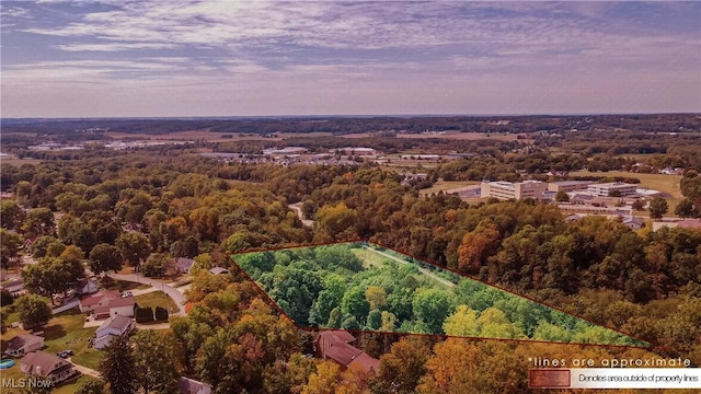 V/L College St, Wadsworth, OH 44281