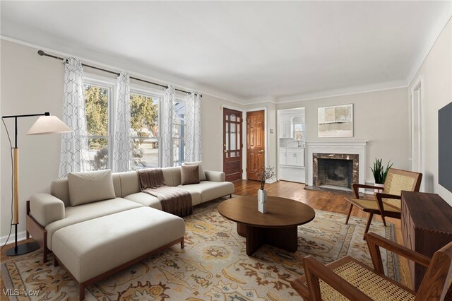 living room featuring a premium fireplace and light wood-type flooring