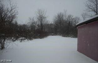 view of yard covered in snow