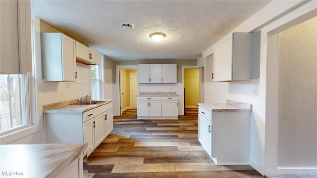 kitchen featuring white cabinetry, plenty of natural light, a textured ceiling, and sink