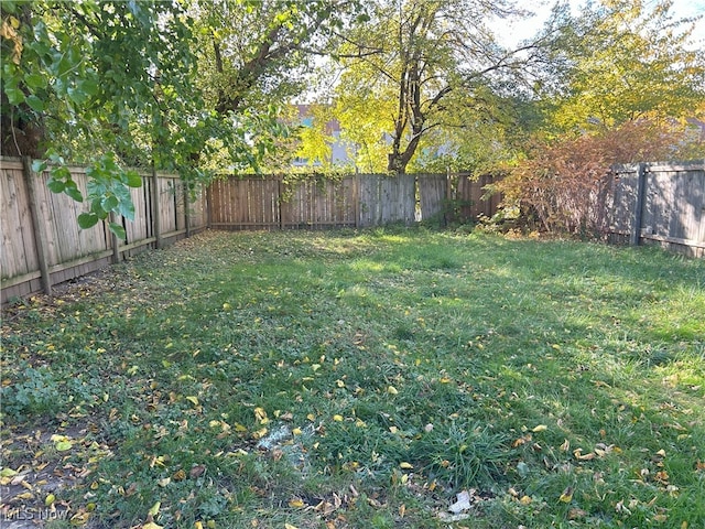 view of yard