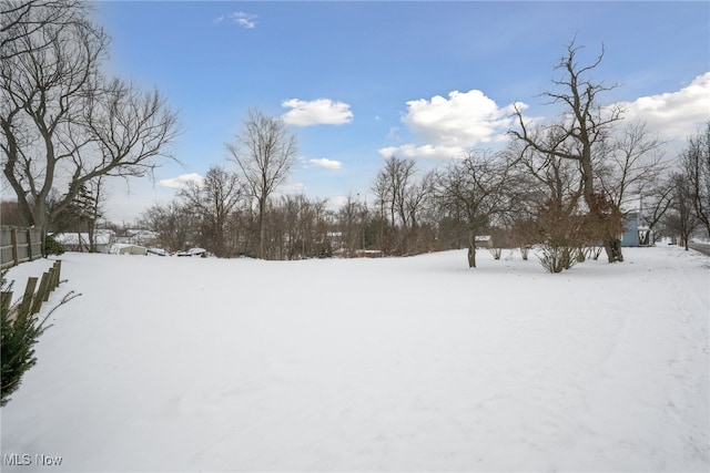 view of snowy yard