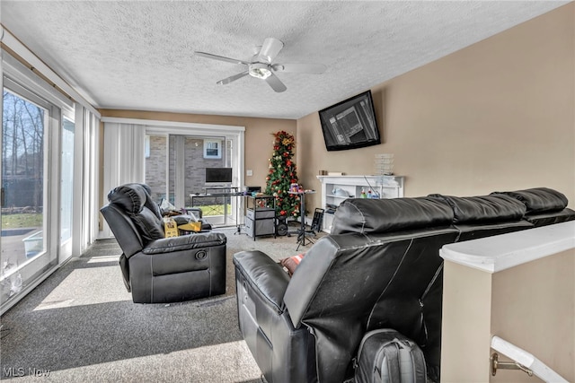 living room with carpet, a healthy amount of sunlight, and a textured ceiling