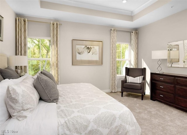 carpeted bedroom featuring a raised ceiling