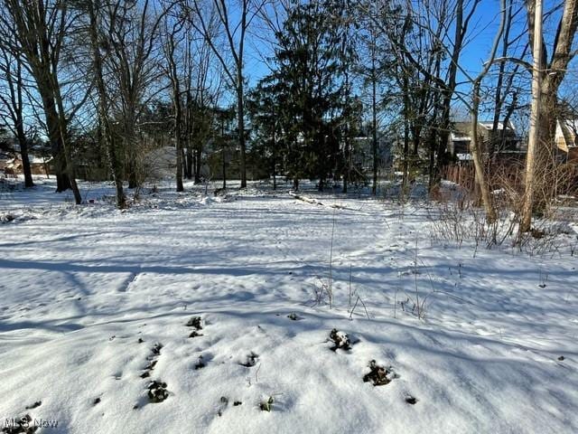 view of yard covered in snow