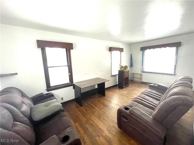 living room with dark wood-type flooring