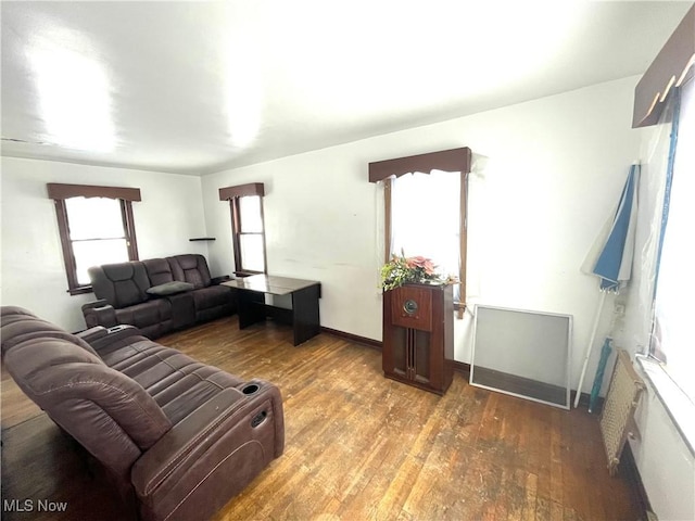 living room featuring a healthy amount of sunlight and hardwood / wood-style flooring