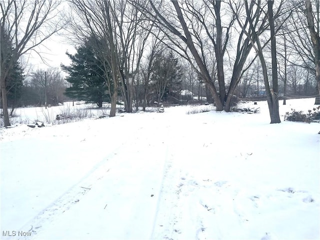 view of yard layered in snow