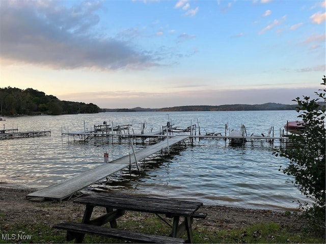 dock area with a water view