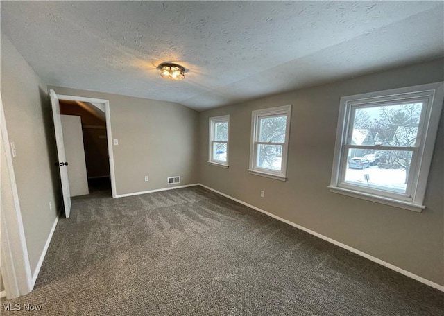 empty room with carpet flooring, lofted ceiling, and a textured ceiling