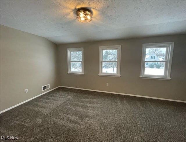 empty room with carpet flooring, a textured ceiling, vaulted ceiling, and a wealth of natural light