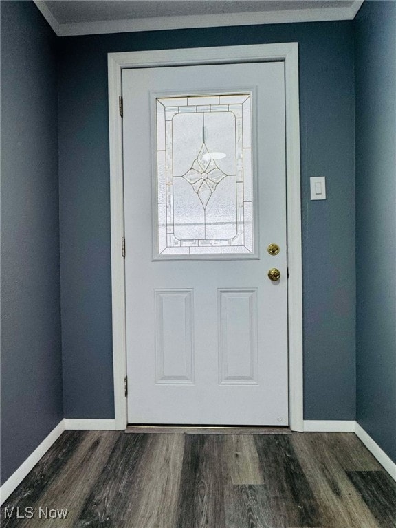 foyer entrance featuring dark hardwood / wood-style flooring