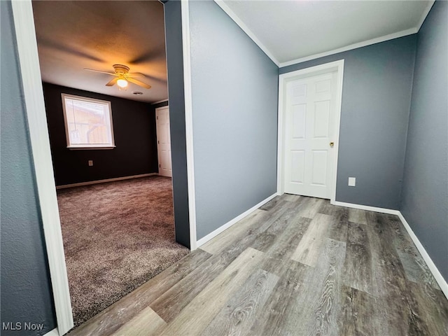 interior space with carpet, ceiling fan, and ornamental molding