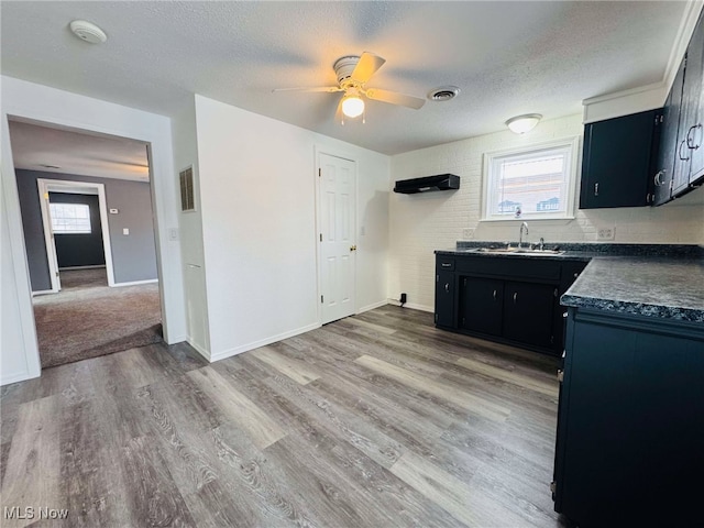 kitchen featuring ceiling fan, plenty of natural light, wood-type flooring, and sink