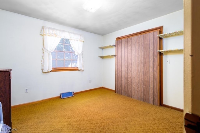 interior space with a closet and carpet