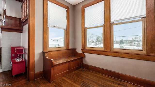 interior space with dark hardwood / wood-style floors