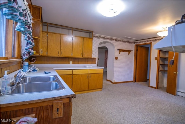 kitchen featuring sink and light colored carpet