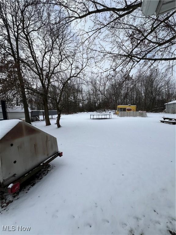 view of yard covered in snow