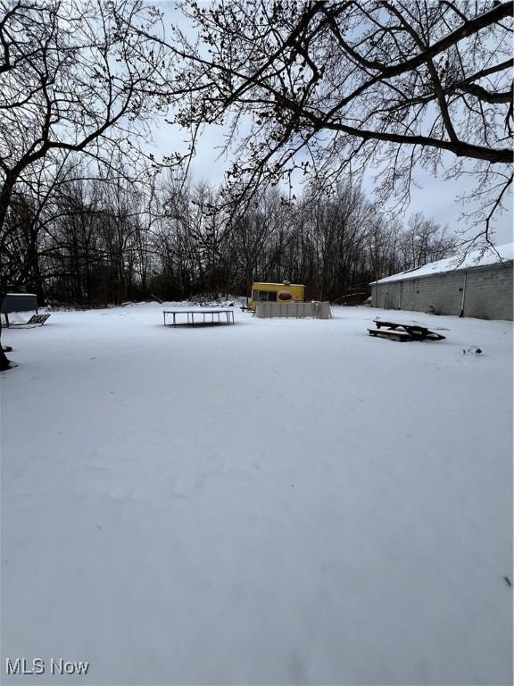 view of yard covered in snow