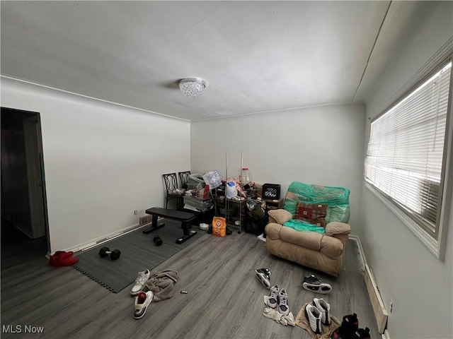 exercise room with hardwood / wood-style floors