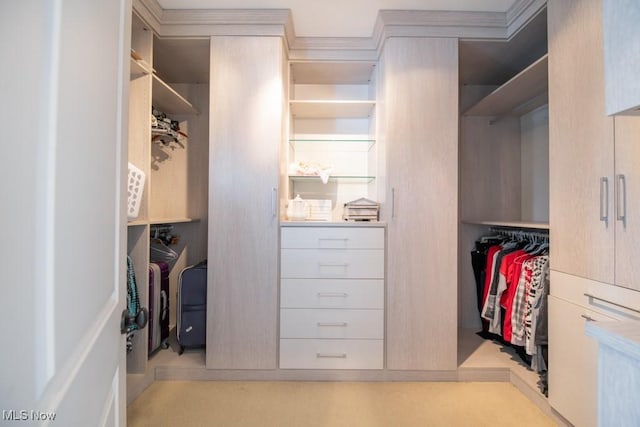 view of walk in closet