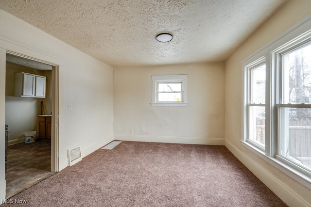 carpeted spare room with a textured ceiling and plenty of natural light