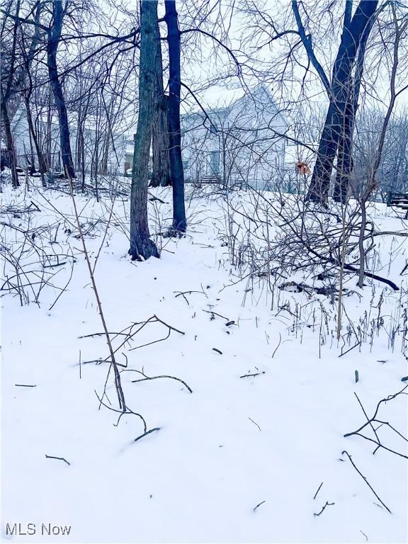 view of snowy landscape