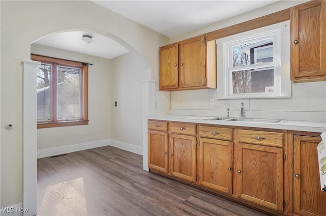 kitchen featuring sink and dark wood-type flooring