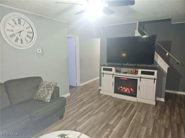 living room with dark hardwood / wood-style flooring