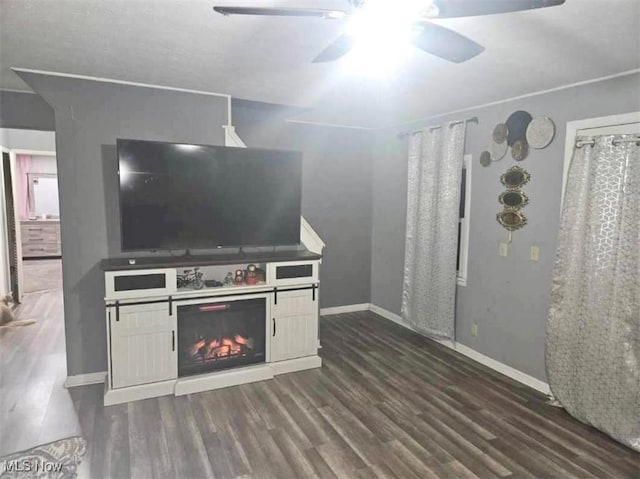 kitchen with dark hardwood / wood-style floors and ceiling fan