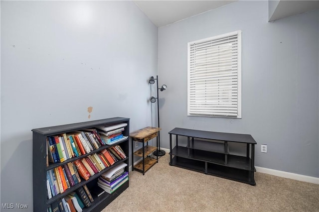 misc room with light colored carpet