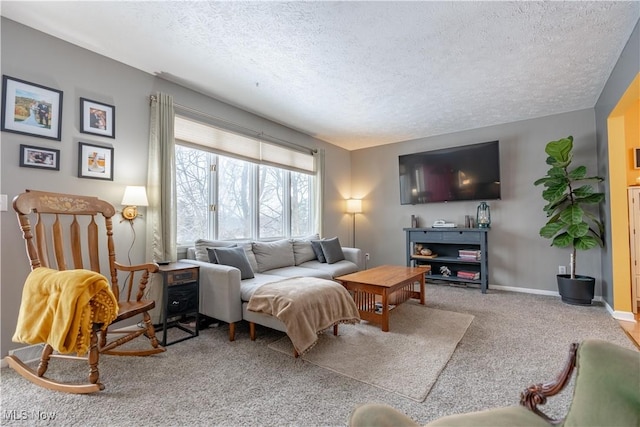 carpeted living room with a textured ceiling