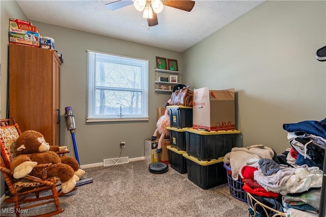 storage area with ceiling fan