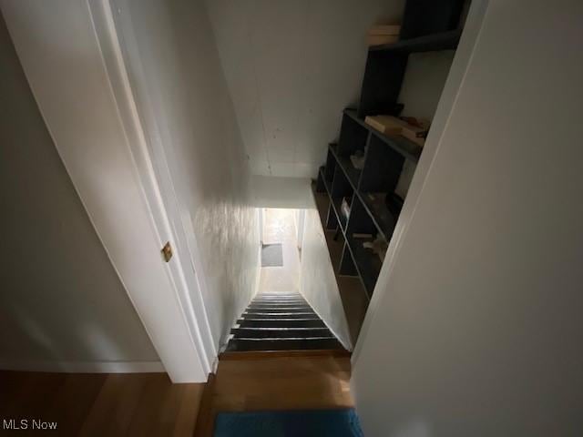 staircase with hardwood / wood-style flooring