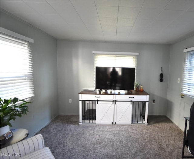 living room with a wealth of natural light and carpet flooring