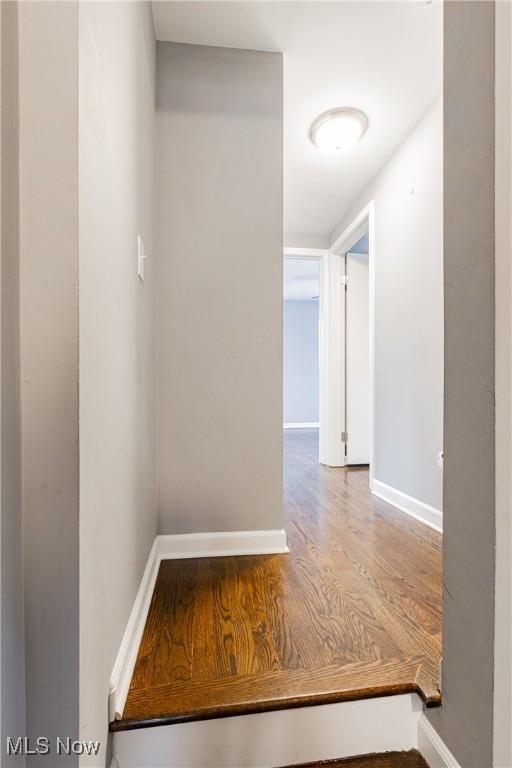 corridor with wood-type flooring