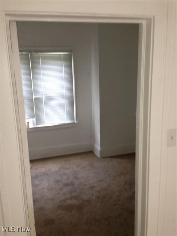 spare room with carpet