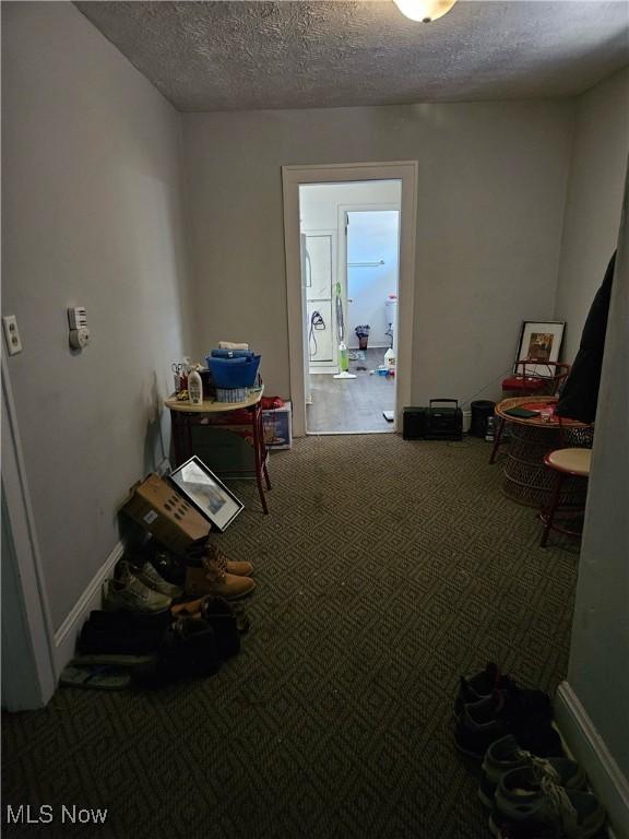 miscellaneous room with a textured ceiling and carpet flooring