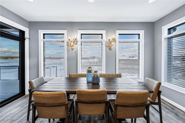 dining room featuring wood-type flooring