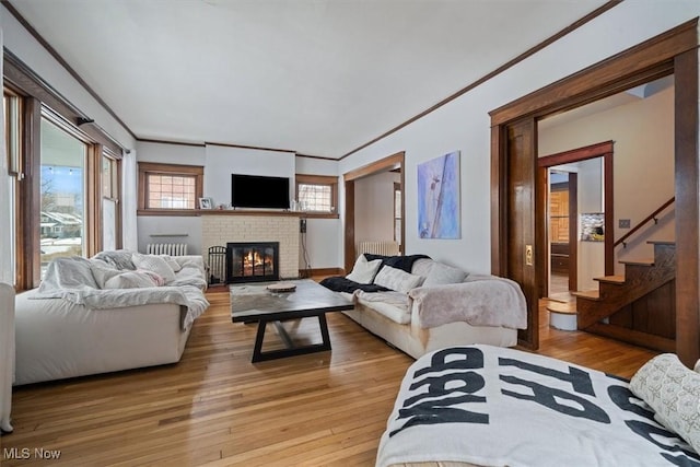 living room with a fireplace, radiator heating unit, light wood-type flooring, and crown molding