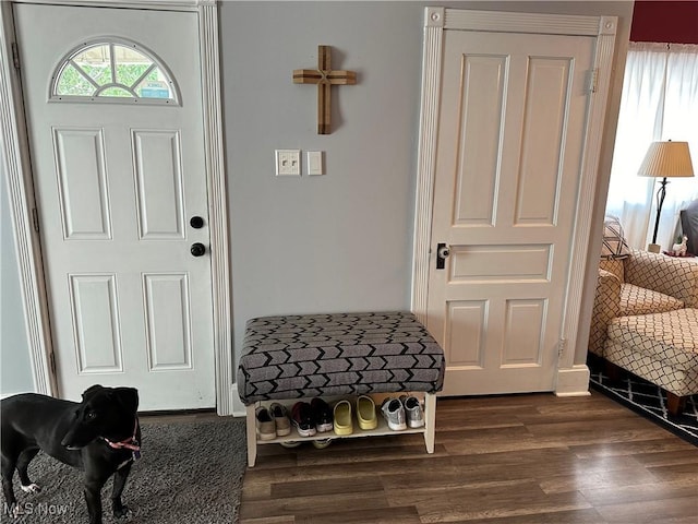 foyer entrance featuring dark hardwood / wood-style floors