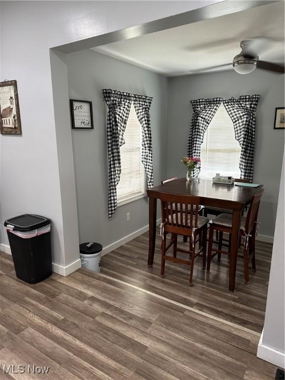 dining room featuring dark hardwood / wood-style flooring