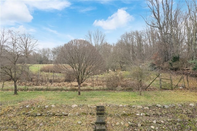 view of yard with a rural view